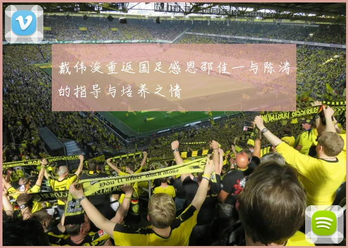 戴伟浚重返国足感恩邵佳一与陈涛的指导与培养之情