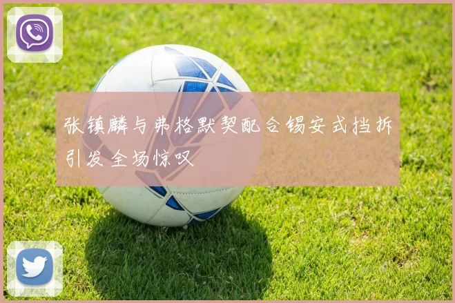 张镇麟与弗格默契配合锡安式挡拆引发全场惊叹
