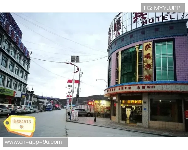 未来之星身价暴涨伊尔迪兹7500万居莱尔6000万乌尊4500万引关注