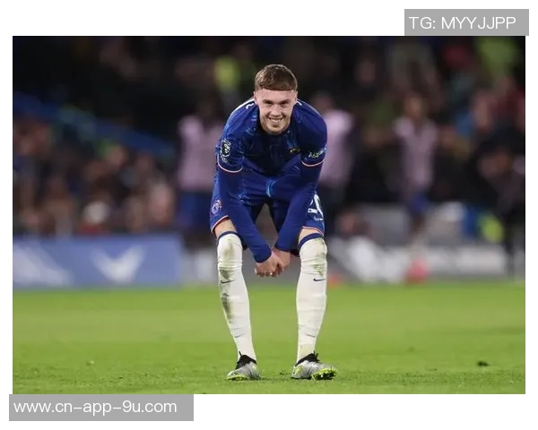 白堡球迷发声：对切尔西所有者的决策表示强烈反对与不满